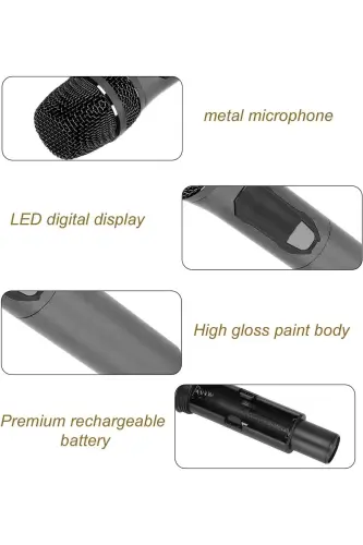 Kablosuz Karaoke Çift Mikrofon6.35mm Sahne Parti Aktivite Amfi Hoparlör Bluetoothsuz TTD-M12 - 3