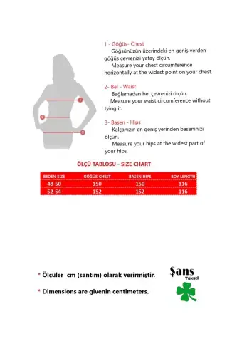 Kadın Büyük Beden Saks Nakış Detaylı Likralı Viskon Elbise 65N38171-SAKS - 2