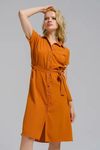 Kadın Camel Beli Kemerli Kısa Kol Gömlek Elbise ARM-19Y001068-Camel - 3