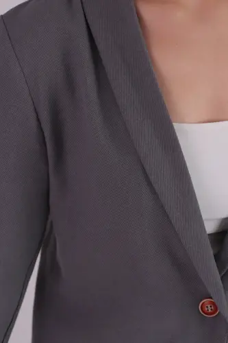 Kadın Füme Kol İçi Çizgili Tek Düğmeli Ceket ARM-22K001122-Füme - ARMONIKA (1)