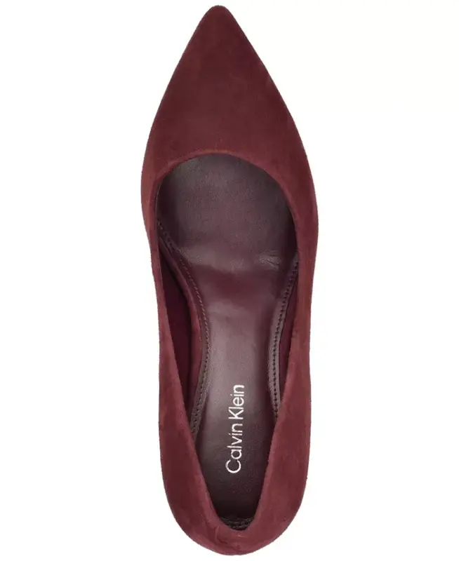 Women's Gayle Classic Pointed Toe Stiletto Pumps - Merlot Suede - 4