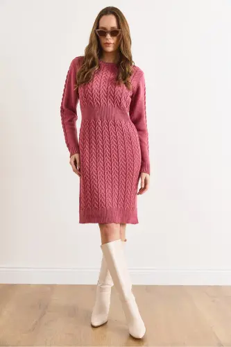 Kadın Gül Kurusu Beli Bantlı Yırtmaçlı Saç Örgü Mini Elbise ELB-19002289-Gül Kurusu - OLALOOK (1)