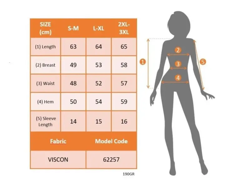 Kadın Kısa Kollu V Yakalı Viskon Bluz - 4