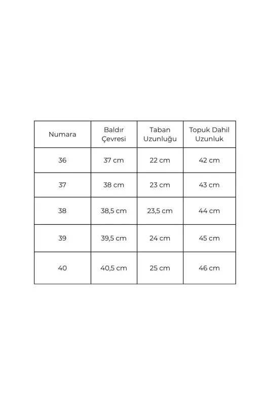 Kadın Vizon Süet Nakışlı Western Kovboy Cowgirl Bot Çizme-Vizon Süet - 3