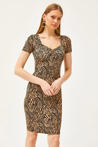 Kadın Vizon Zebra Roba Büzgülü Kristal Viskon Elbise ELB-19002061-Vizon Zebra - 4