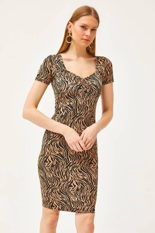 Kadın Vizon Zebra Roba Büzgülü Kristal Viskon Elbise ELB-19002061-Vizon Zebra - 4