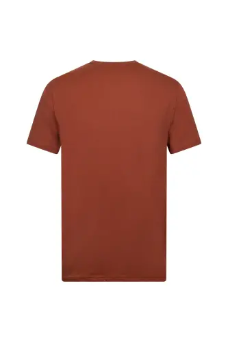 Kahverengi Regular Fit Bisiklet Yaka Pamuklu Basic Tişört-Kahverengi - 2