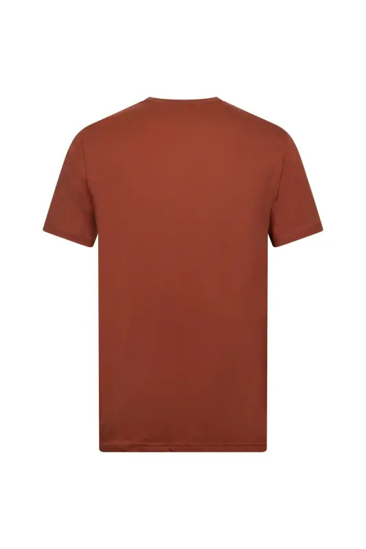 Kahverengi Regular Fit Bisiklet Yaka Pamuklu Basic Tişört-Kahverengi - 2