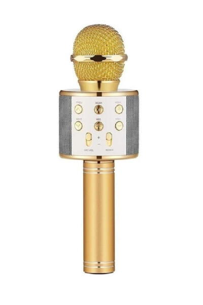 Karaoke Bluetooth Mikrofon Hoparlörlü Usb Flash Destekli Ws-858-GOLD - FİOPLUS