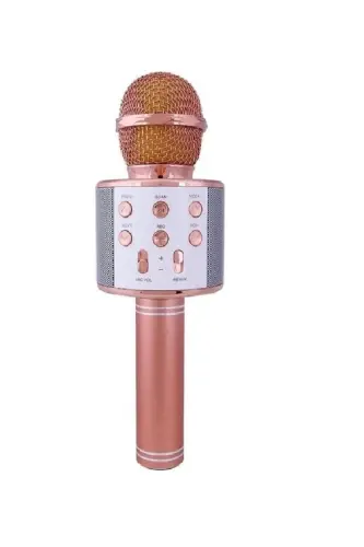 Karaoke Bluetooth Mikrofon Hoparlörlü Usb Flash Destekli Ws-858 - ROSE GOLD 