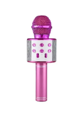 Karaoke Microphone with Built-in Speaker, USB Flash & TF Card Support, Voice Changing Effects - PINK 