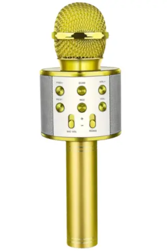 Karaoke Mikrofon Usb Tf Kart Bt-gold 