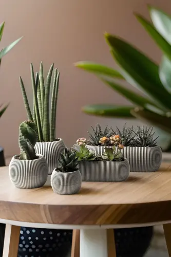 Karasu Decorative and Modern Coral Pot Set 5 Pieces 