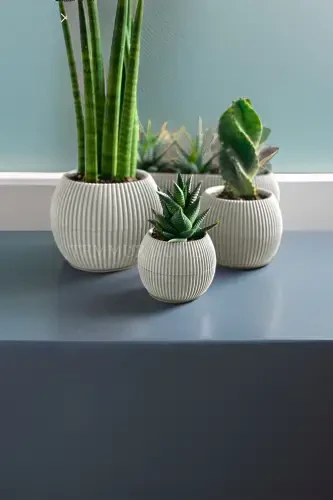 Karasu Decorative and Modern Coral Pot Set 5 Pieces - 4