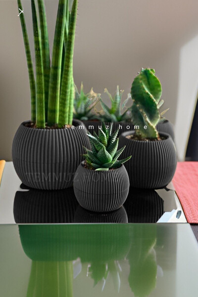 Karasu Decorative and Modern Coral Pot Set 5 Pieces - 6