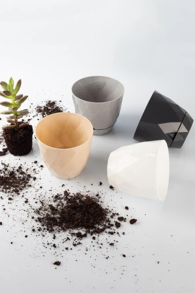 Karasu No1 4 Pcs 4 Color Moon Cactus Succulent And Flower Pot Set - TEMMUZ HOME