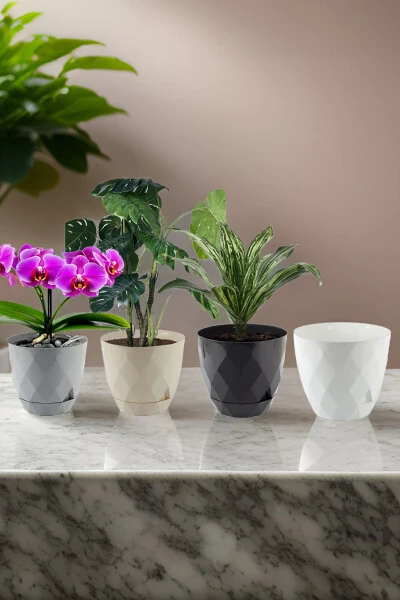 Karasu No2 4 dona 4 rangli Yakamoz kaktus va gul idishlar to'plami. 1,3 litr - TEMMUZ HOME