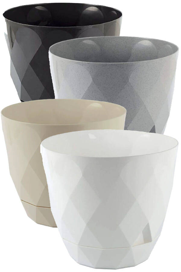 Karasu No2 4 Pieces 4 Color Phosphorescent Cactus And Flower Pot Set. 1.3 Litre - 3