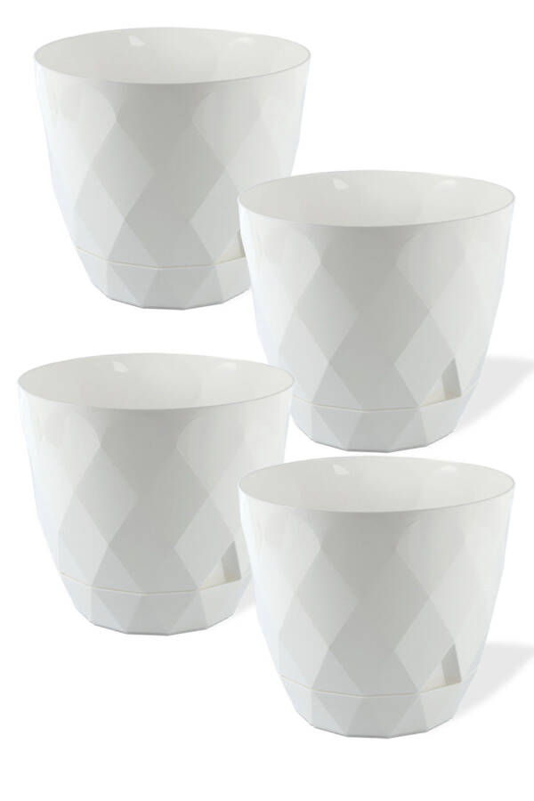Karasu No2 4 Pieces 4 Color Phosphorescent Cactus And Flower Pot Set. 1.3 Litre - 5