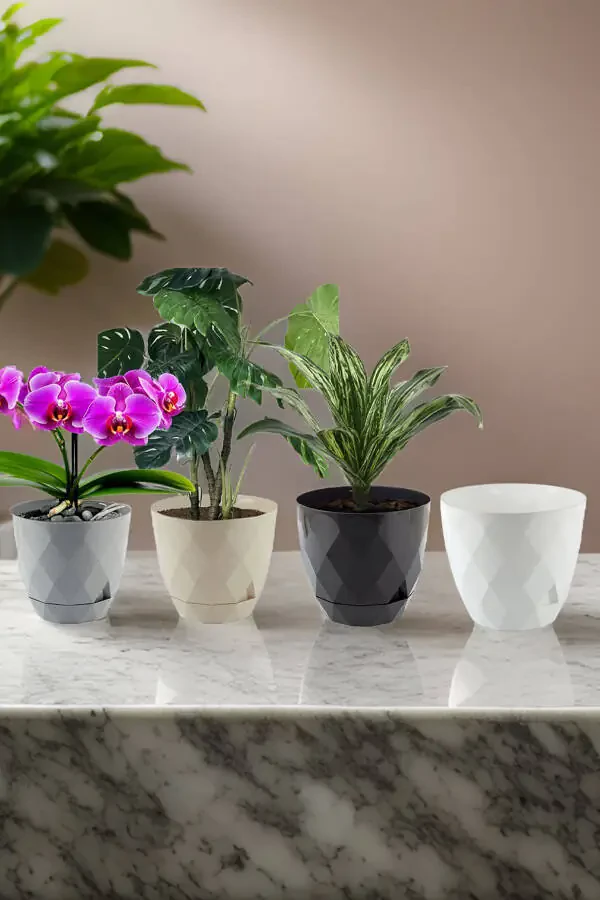 Karasu No2 4 Pieces 4 Color Phosphorescent Cactus And Flower Pot Set. 1.3 Litre - 1