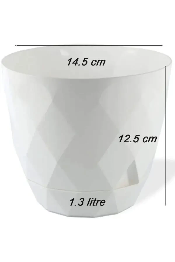 Karasu No2 4 Pieces 4 Color Phosphorescent Cactus And Flower Pot Set. 1.3 Litre - 2