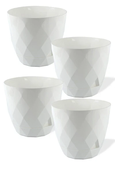 Karasu No2 4 Pieces 4 Color Phosphorescent Cactus And Flower Pot Set. 1.3 Litre - 5