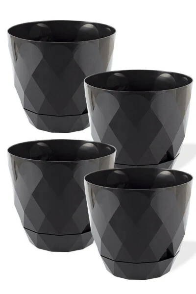 Karasu No2 4 Pieces 4 Color Phosphorescent Cactus And Flower Pot Set. 1.3 Litre - 6