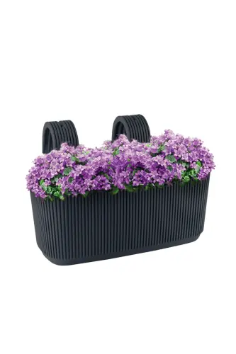 Karasu Plastic 6 Pcs Colorful Pera Hanging Balcony and Wall Pot-Multi Color - 7