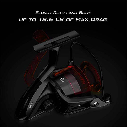 KastKing Brutus Spinning Reel, Freshwater Spinning Fishing Reels, Graphite Frame, CNC Aluminum Spool, 5.2: 1 Gear Ratio, 4+1 Ball Bearings - 4