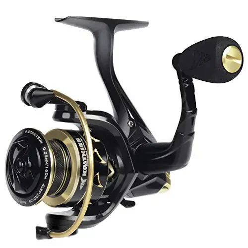KastKing Valiant Eagle Gold Spinning Reel - 6.2:1 High-Speed Gear Ratio, Freshwater and Saltwater Fishing Reel, Faster Line Retrieve, Braid Ready Spool, 7+1 Shielded Stainless Steel Ball Bearings - 2