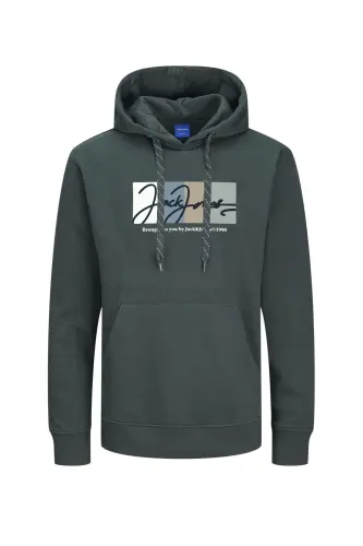 Kazakh - Gray - Forest River - JACK & JONES (1)