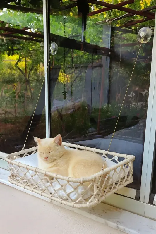 Kedi Köpek Cam Yatağı Vantuzlu Hamak El İşçiliği - Krem - 2