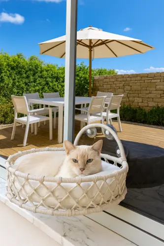 Kedi Köpek Cam Yatağı Vantuzlu Hamak El İşçiliği-Krem 