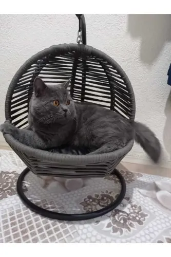 Kedi Salıncağı & Kedi Yatağı (Sabitleme Aparatlı) - LÜXPERI (1)