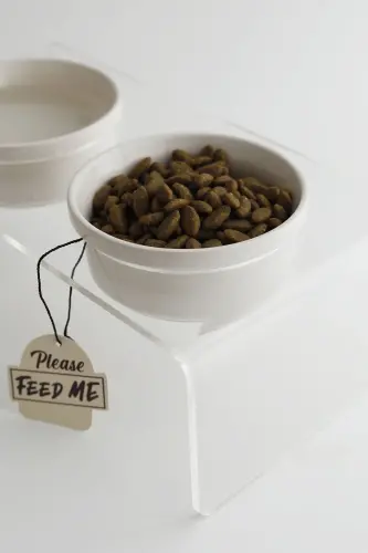 Kedi ve Köpek Dekoratif Seramik Pleksi Mama Ve Su Kabı - Beyaz - 3