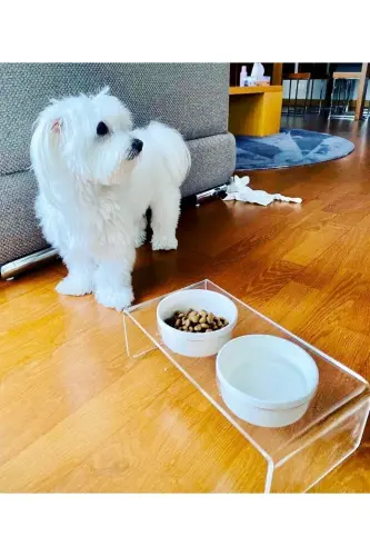 Kedi ve Köpek Dekoratif Seramik Pleksi Mama Ve Su Kabı - Beyaz - 4