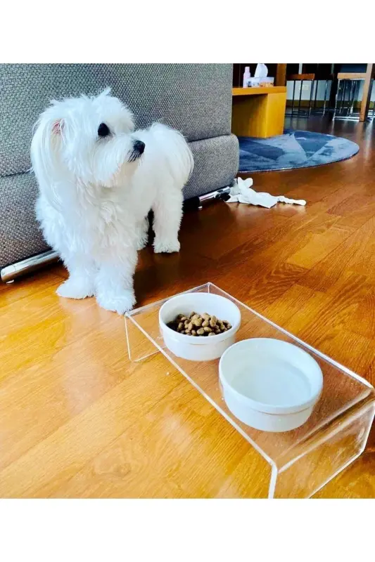 Kedi ve Köpek Dekoratif Seramik Pleksi Mama Ve Su Kabı - Beyaz - 4