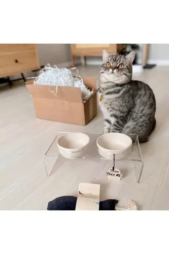 Kedi ve Köpek Dekoratif Seramik Pleksi Mama Ve Su Kabı - Beyaz - 7