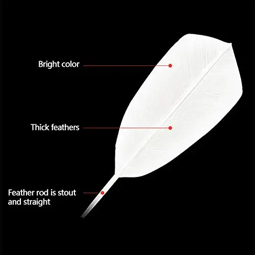 KEVENZ Goose Feather Badminton Shuttlecocks with Great Stability and Durability, High Speed Badminton Birdies,Pack of 12, White - 4