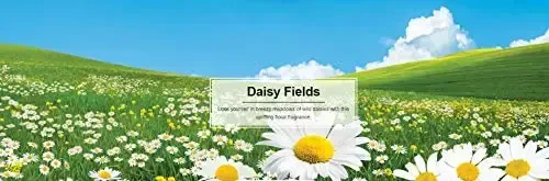 Kichkina daraxtlar 076171673473 uy yoki mashina uchun Daisy Fields osilgan qog'oz daraxti, 6 dona - 5