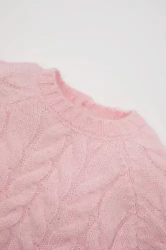 Kız Bebek Mavi Bisiklet Yaka Örgü Desenli Triko Kazak D0354A524AU-Pembe - Defacto (1)