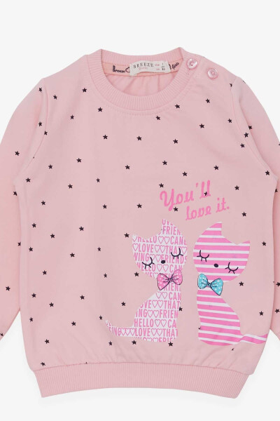 Kız Bebek Sweatshirt Mutlu Kedicikler (4 Ay - 1.5 Yaş), Pudra - 6