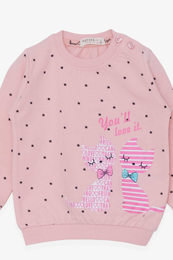 Kız Bebek Sweatshirt Mutlu Kedicikler (4 Ay - 1.5 Yaş), Pudra - 6