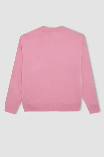 Kız Çocuk Açık Pembe Standart Fit Bisiklet Yaka Basic Düz Triko Kazak C6902A824AU-Pembe - 3