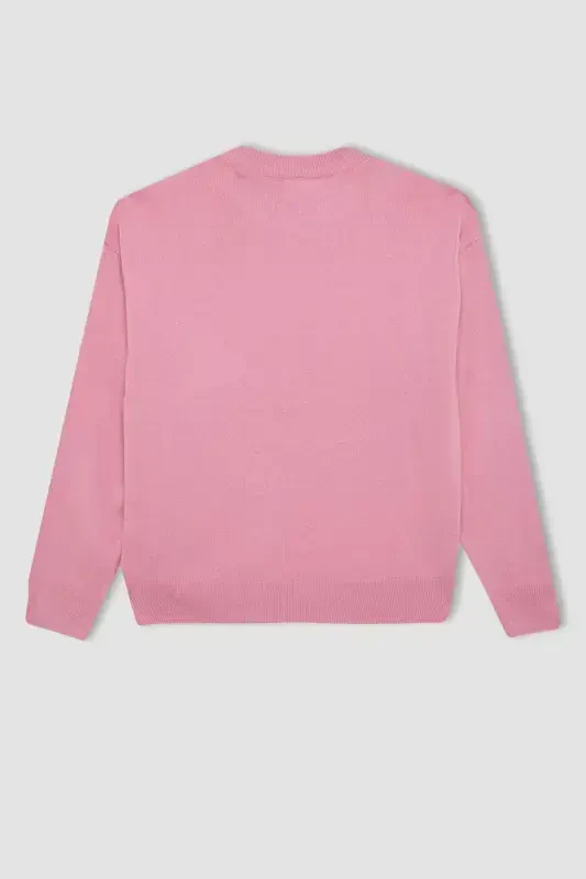 Kız Çocuk Açık Pembe Standart Fit Bisiklet Yaka Basic Düz Triko Kazak C6902A824AU-Pembe - 3