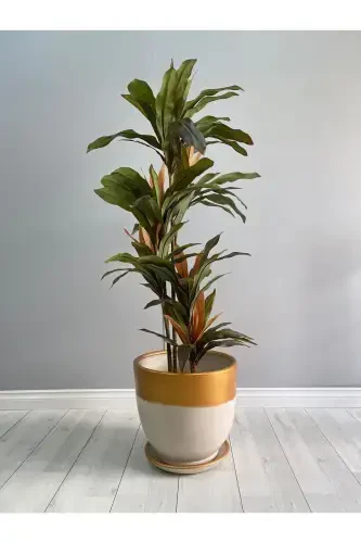 10litre Klasik Saksı Tabaklı 25cmx23cm Ekru Gold-Krem - 2