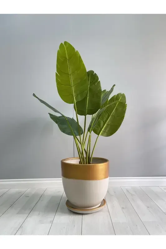 10litre Klasik Saksı Tabaklı 25cmx23cm Ekru Gold-Krem - 3