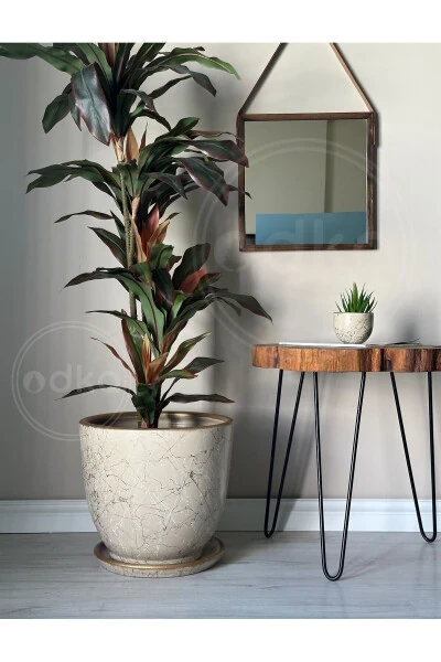 20litre Klasik Saksı Tabaklı 30cmx30cm Lily Taş Gold Beyaz-Taş - 1