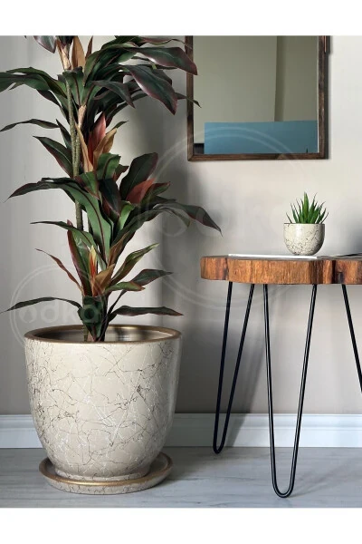 20litre Klasik Saksı Tabaklı 30cmx30cm Lily Taş Gold Beyaz-Taş - 2