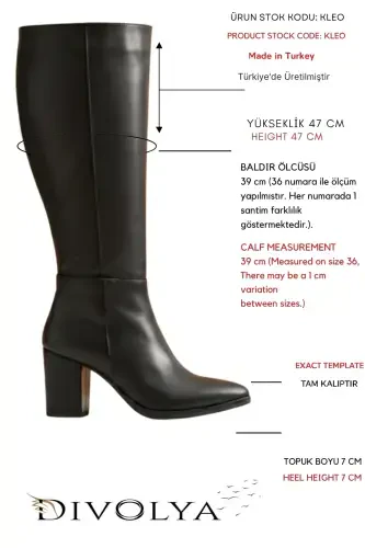Kleo Black Leather Heeled (7cm) Side Zipper Everyday Boots - DİVOLYA (1)